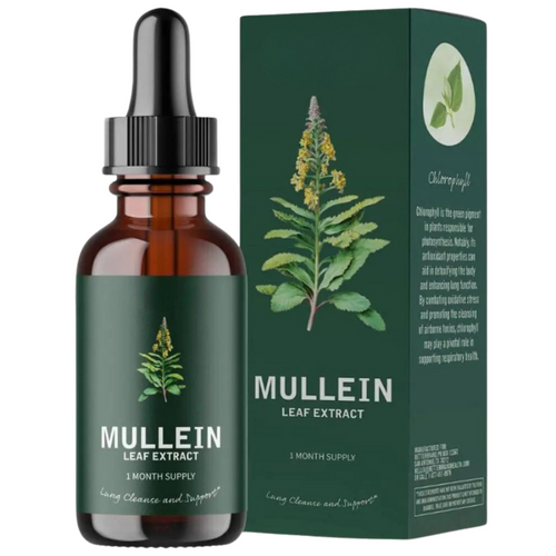 Mullein Leaf Extract